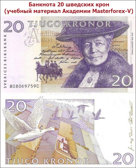Банкнота в 20 шведских крон
