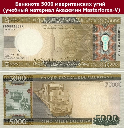 Банкнота 5000 угий